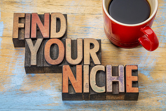 Find your niche